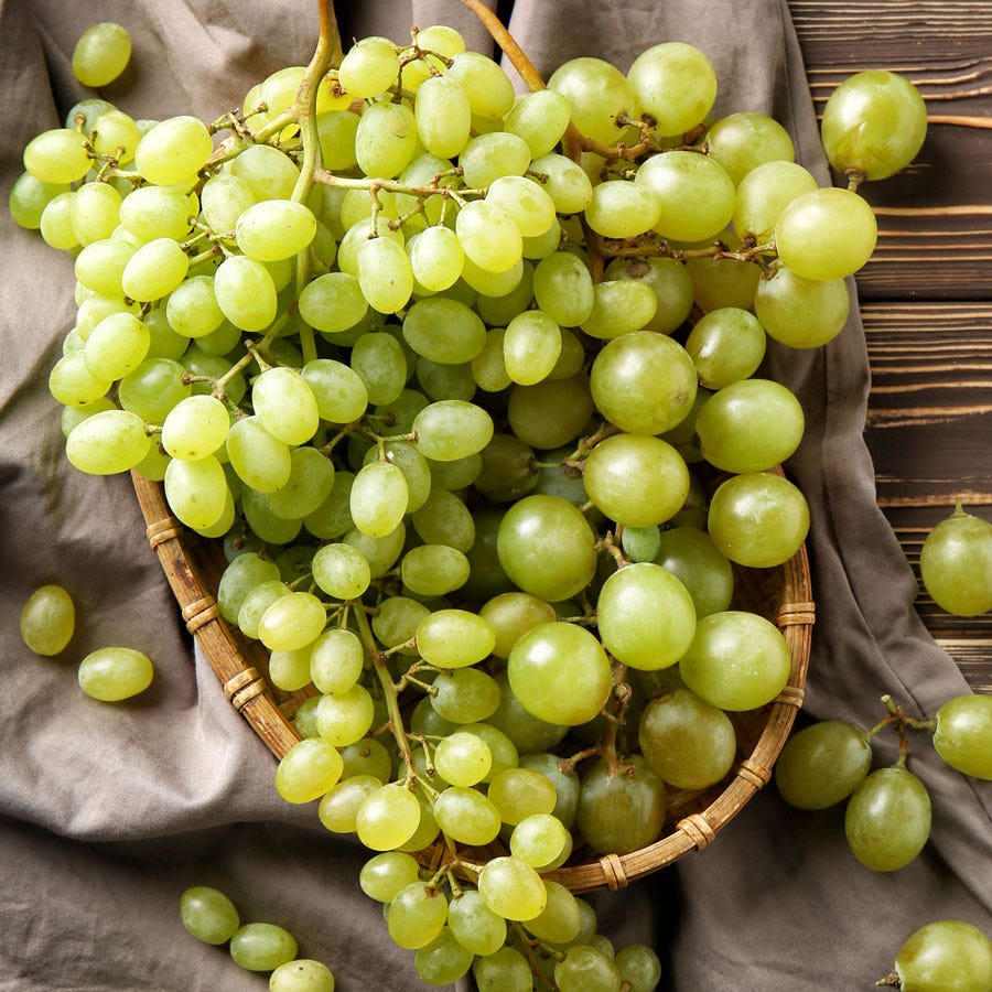 Vitis Edelweiss White Grape