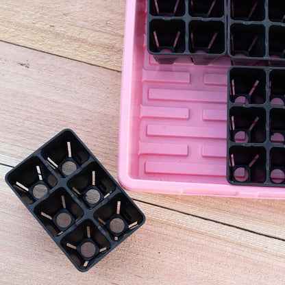 Plug Tray 6 Cell Inserts Black - extra strength