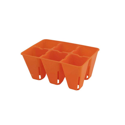Plug Tray 6 Cell Inserts Multicolor - extra strength