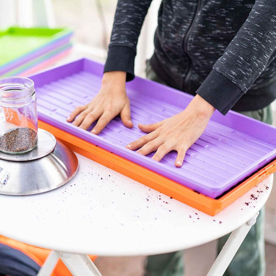 Bootstrap Farmer Microgreen Bottom Watering Trays (Solid, Multicolor)
