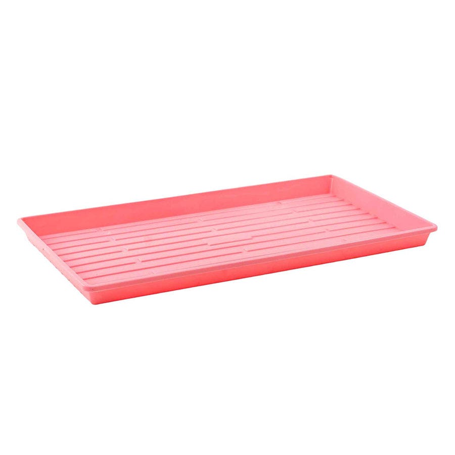 Bootstrap Farmer Microgreen Bottom Watering Trays (Solid, Multicolor)