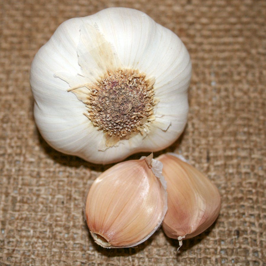 Garlic Mild French Bulbs