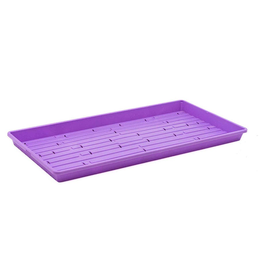 Bootstrap Farmer Microgreen Drainage Trays (Perforated, Multicolor)