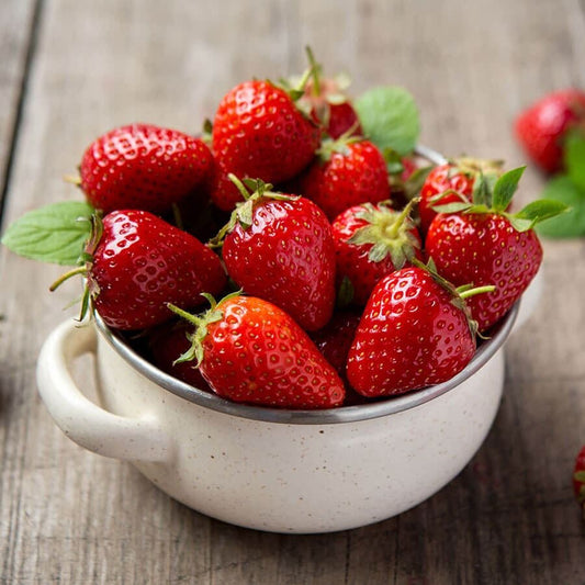 Fragaria Eversweet™ Strawberry