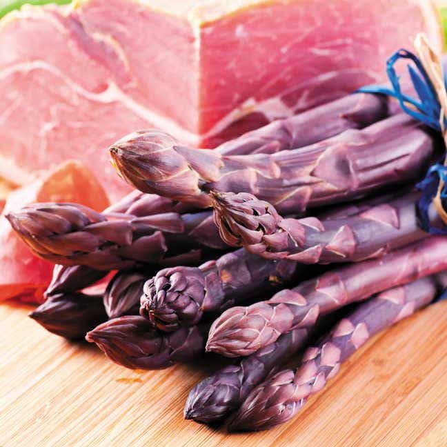 Asparagus 'Pacific Purple'