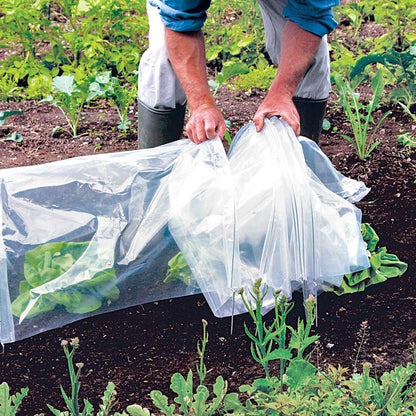 Standard Poly Easy Tunnel