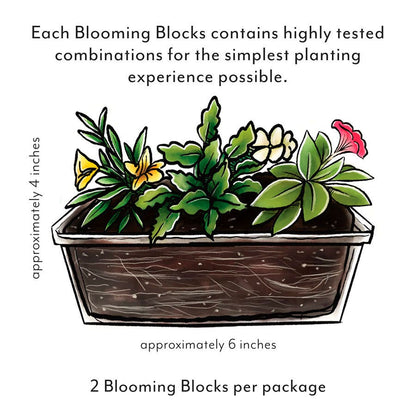 Blooming Block Amped Up MixMasters™ Coleus Mix