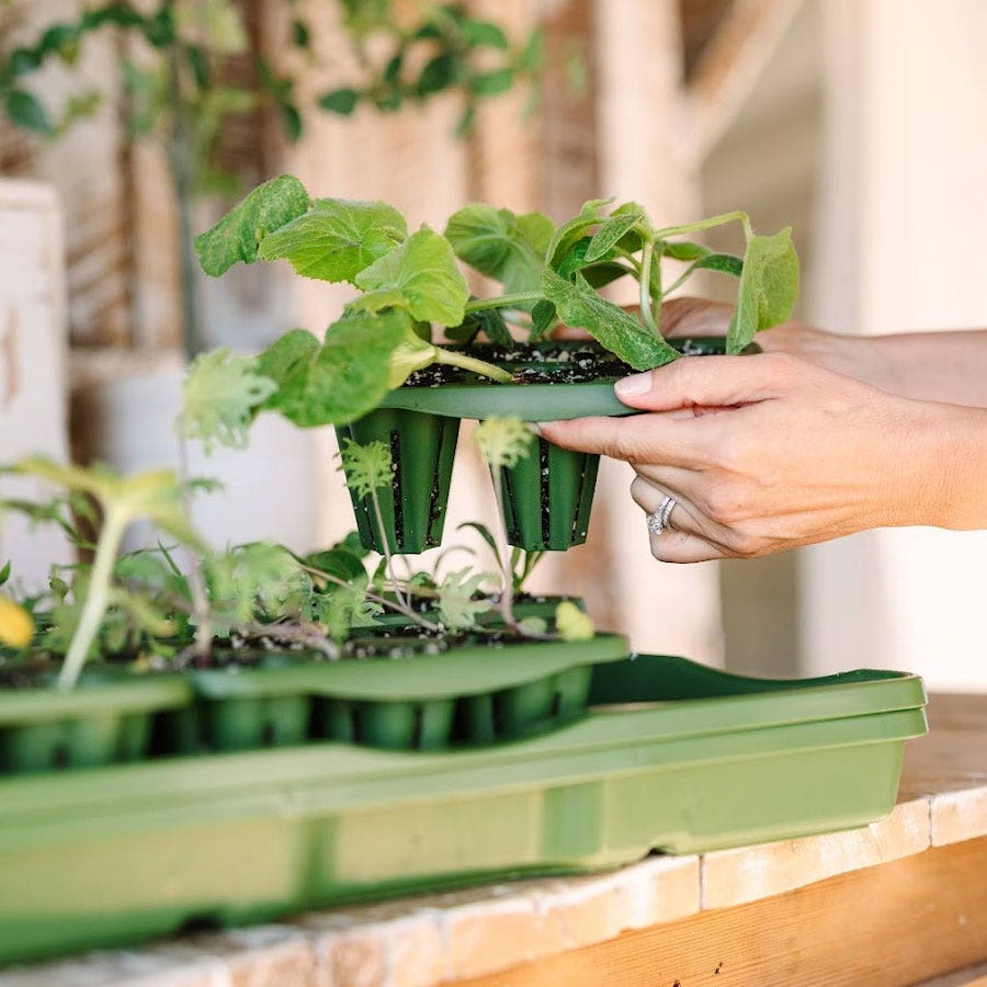 GreenStalk Seed Starting Kit