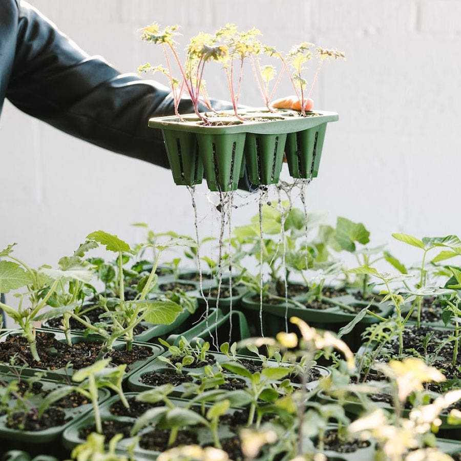 GreenStalk Seed Starting Kit
