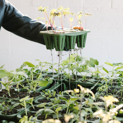 GreenStalk Seed Starting Kit