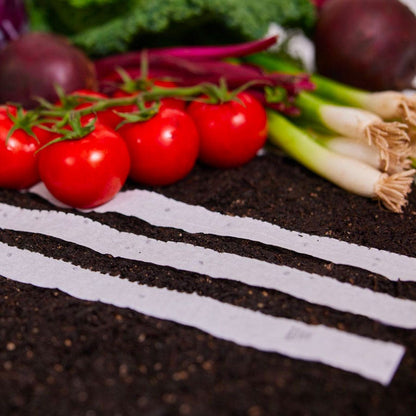 Sow Effortless Collection™ Red Sails Lettuce Seed Tape