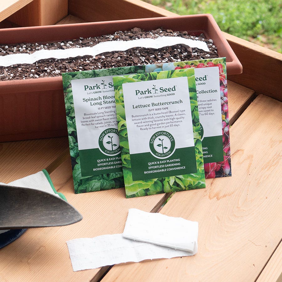 Sow Effortless Collection™ Red Sails Lettuce Seed Tape