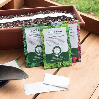 Sow Effortless Collection™ Sylvesta Lettuce Seed Tape