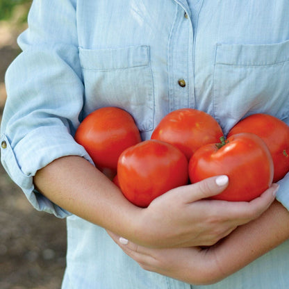 Park's Whopper CR Improved Hybrid Tomato Seeds