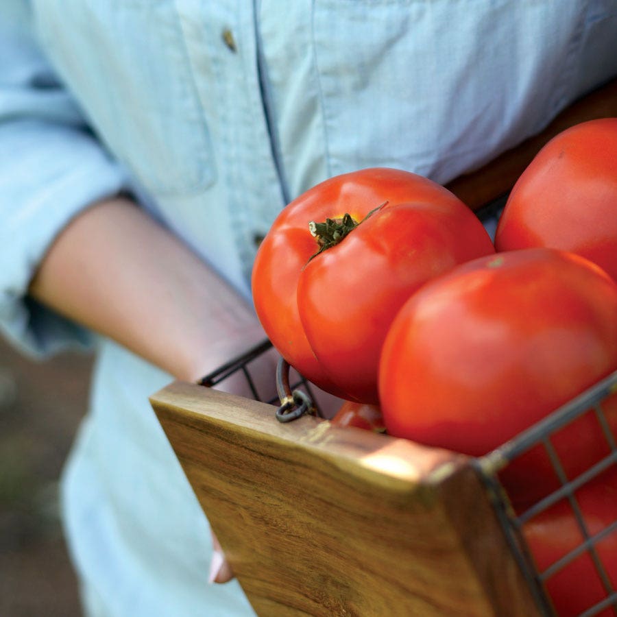 Park's Whopper CR Improved Hybrid Tomato Seeds