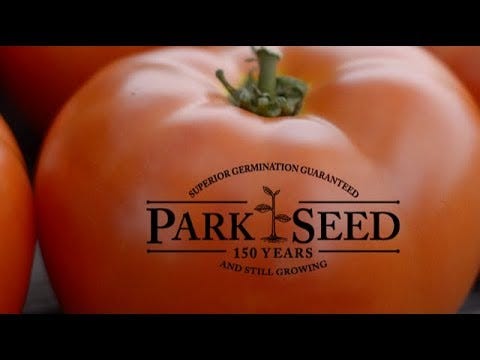 Park Seed Legacy Tomato Seeds