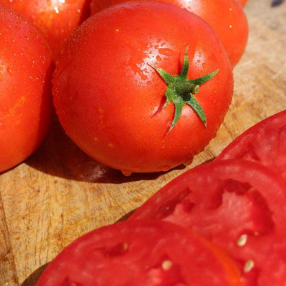 Big Beef Plus Big Tomato Seeds