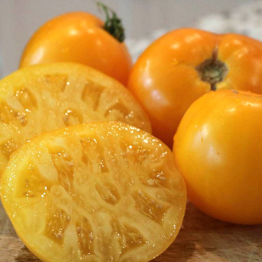 Lemon Boy Plus Hybrid Tomato Seeds