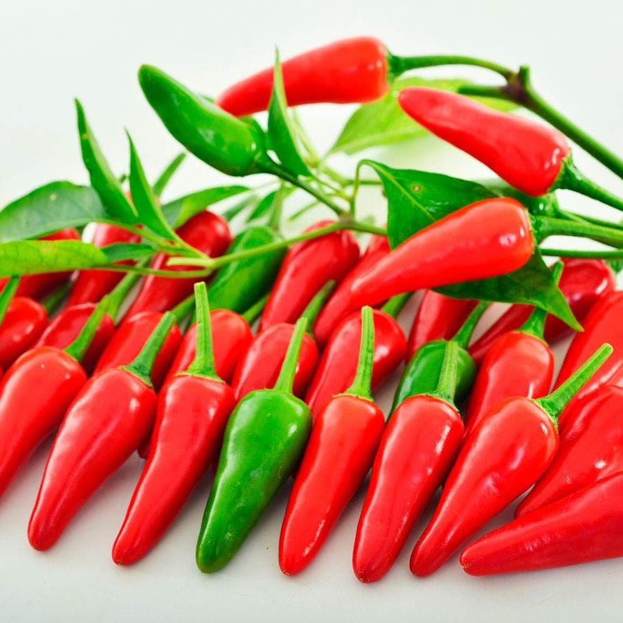 Buffy F1 Pepper Seeds