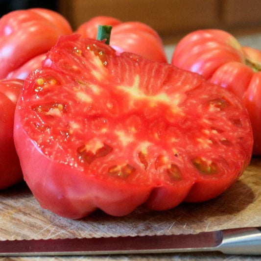 Pink Delicious Tomato Seeds