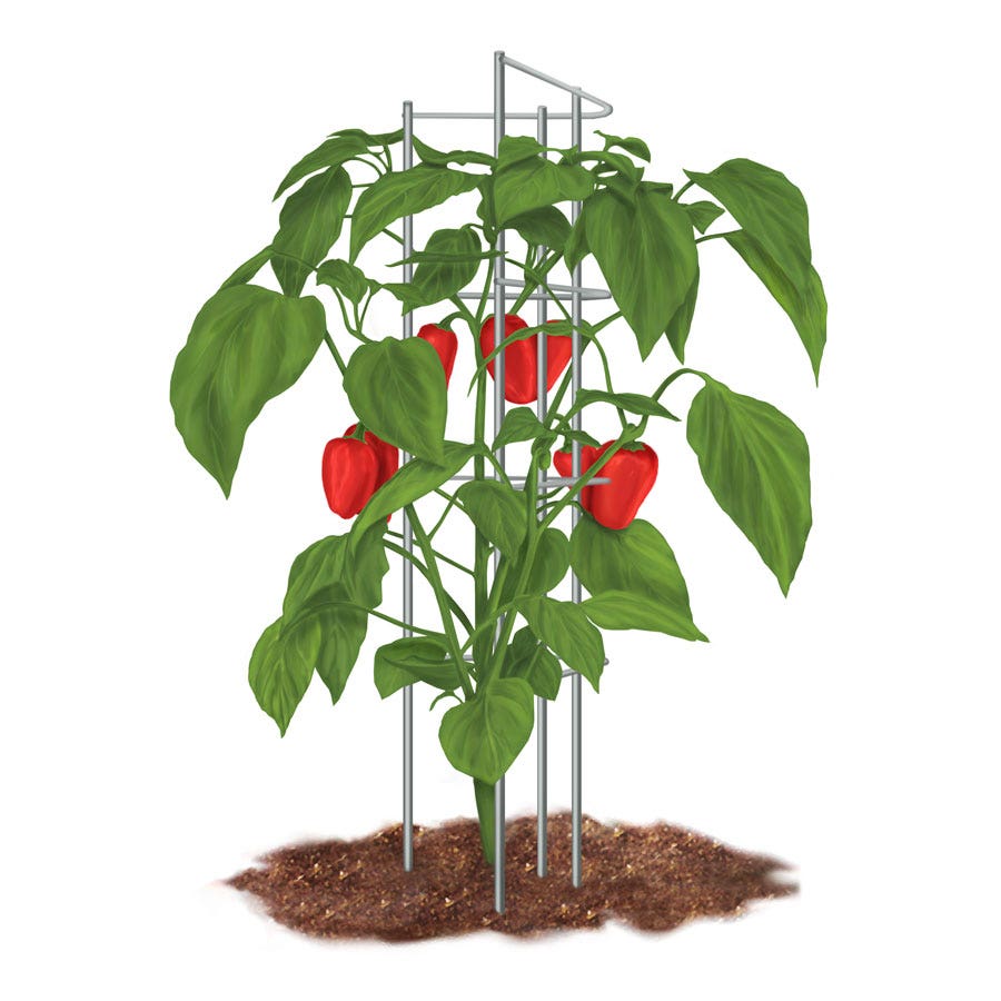 Pepper Supports - Pack of 3