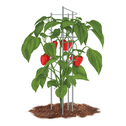 Pepper Supports - Pack of 3