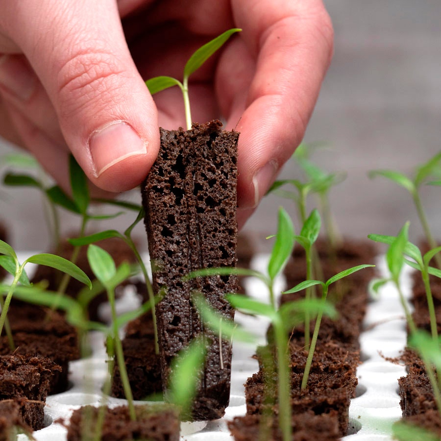 Bio Dome Seed Starting System