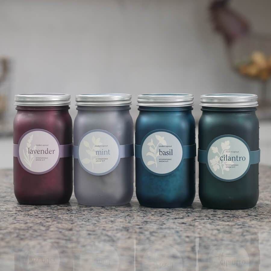 Modern Sprout Garden Jars